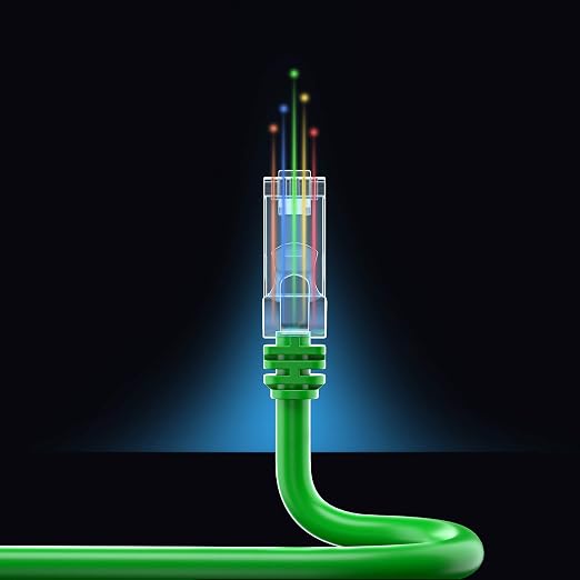 Maximm Cat 6 Ethernet Cable - 2 ft - High-Speed LAN - Image 8