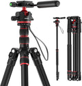NEEWER Basics Camera Tripod Monopod, 360° Ball Head, Arca Type QR Plate by Neewer