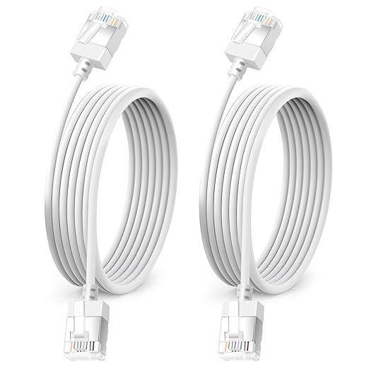 Ultra Thin Cat 6A Ethernet Cable 6.6 Feet 2Pack, Flexible & Slim Rj45 Cat6a LAN by DUTEVOLNS