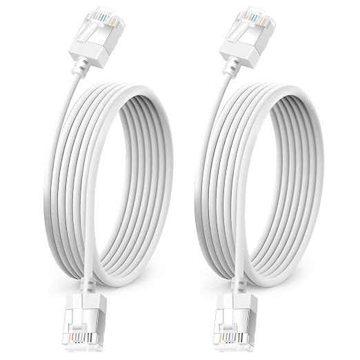Ultra Thin Cat 6A Ethernet Cable 1.6 Feet 2Pack, Flexible & Slim Rj45 Cat6a LAN by DUTEVOLNS