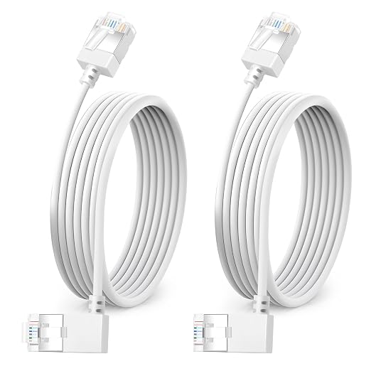 Ultra Slim 90° Degree Cat 6A Ethernet Cable Left Angled 30 Feet 2Pack, 10Gbps by DUTEVOLNS