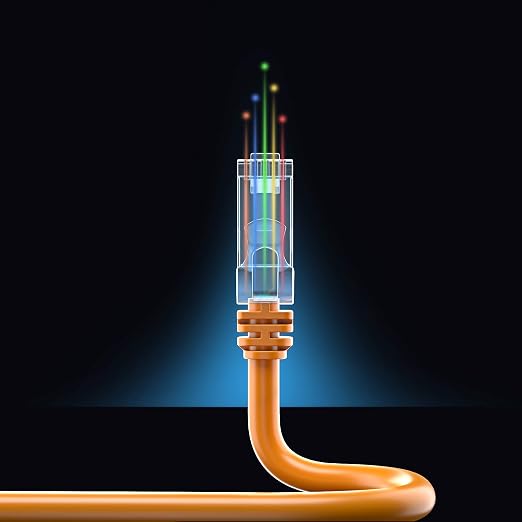 Maximm Cat 6 Ethernet Cable 40 ft - Image 8