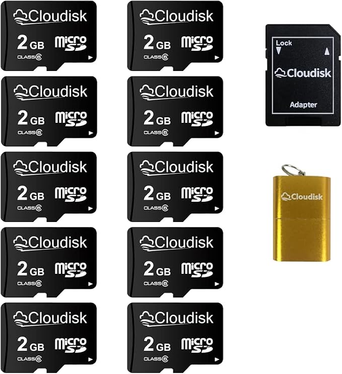 Pack of 10 Micro SD Card 2GB Flash Memory Card C6 by Cloudisk