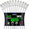 Maximm Cat 6 Ethernet Cable 5 Ft, Cat6 Cable, LAN Cable, Internet Cable by MaximmCable