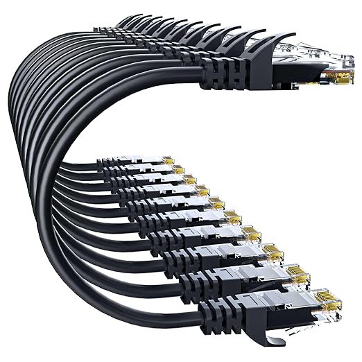 Cat 6 Ethernet Cable 1FT 10Pack, Cat6 Ethernet Patch Cable 10Gbps, High-Speed by 10Gsupxsel