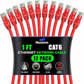 Maximm Cat 6 Ethernet Cable 1 ft by MaximmCable