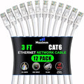 Maximm Cat 6 Ethernet Cable 3 Ft, Cat6 Cable, LAN Cable, Internet Cable by MaximmCable
